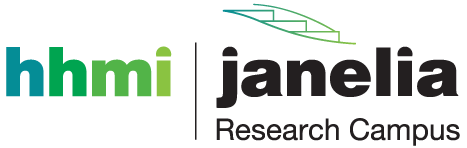Janelia Constructs
